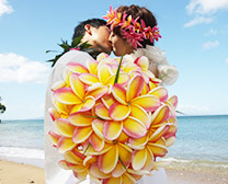 ハワイマウイ島結婚式